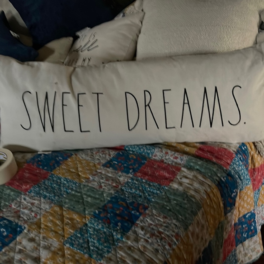 Rae dunn pillow